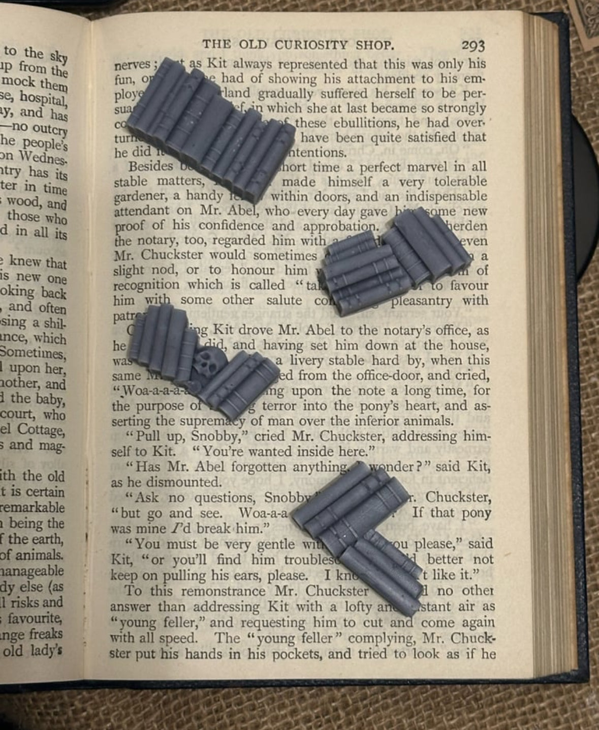 Enchanted Bookstacks Wax Melt Pouch
