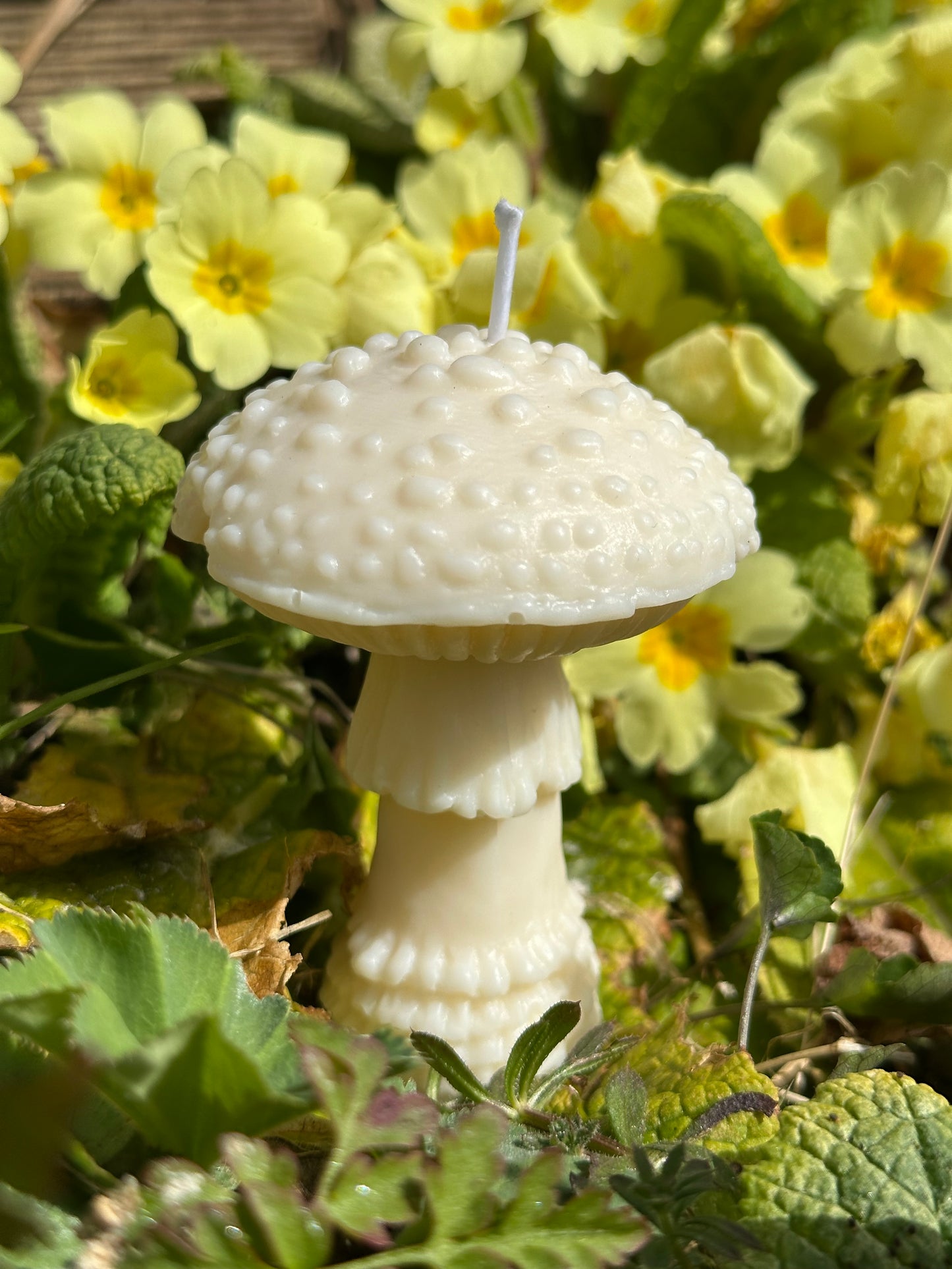 The Fly Agaric - Toadstool Shaped Soy Wax Pillar Candle