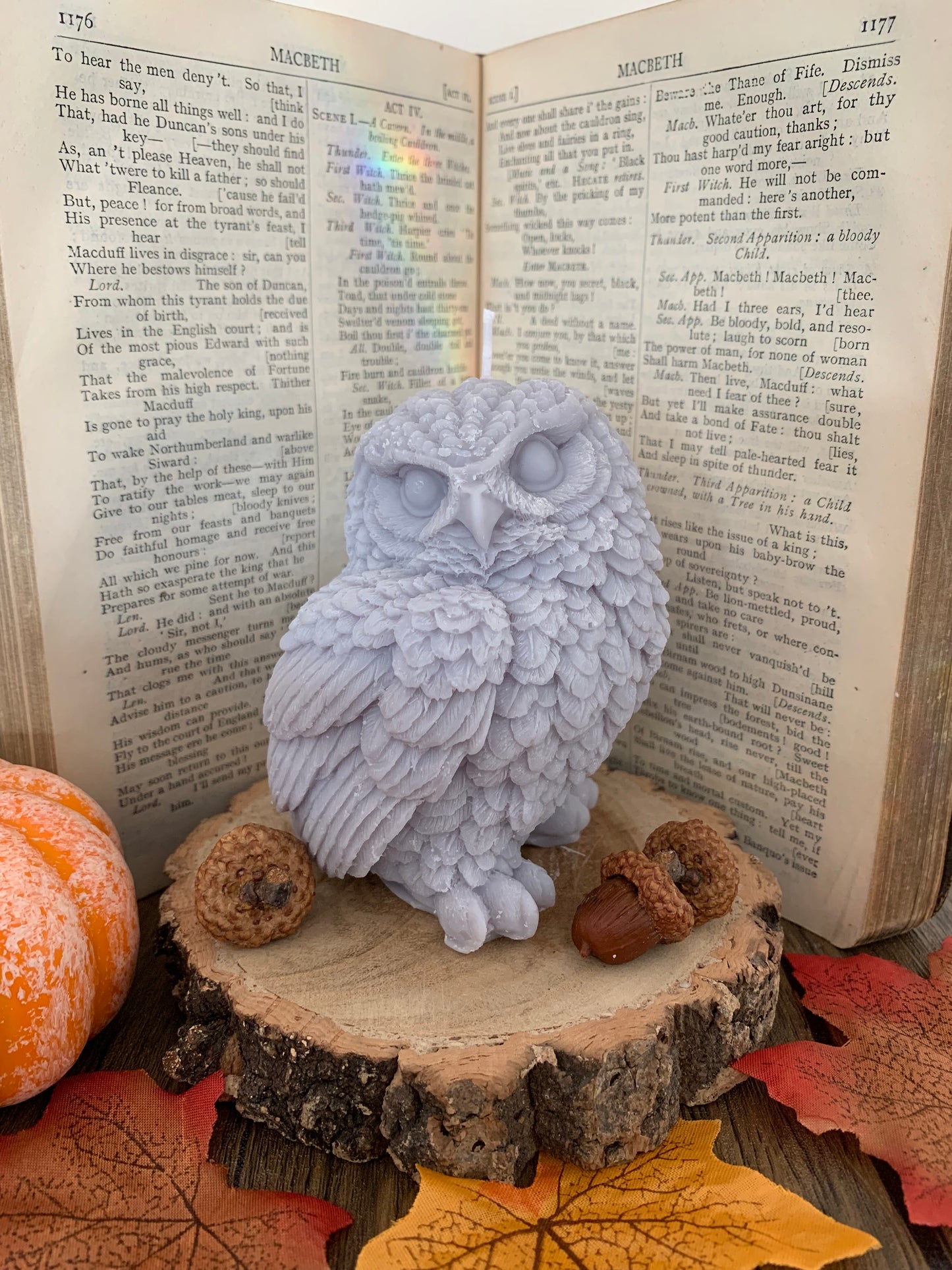 Library Guardian - Owl Shaped Soy Wax Pillar Candle