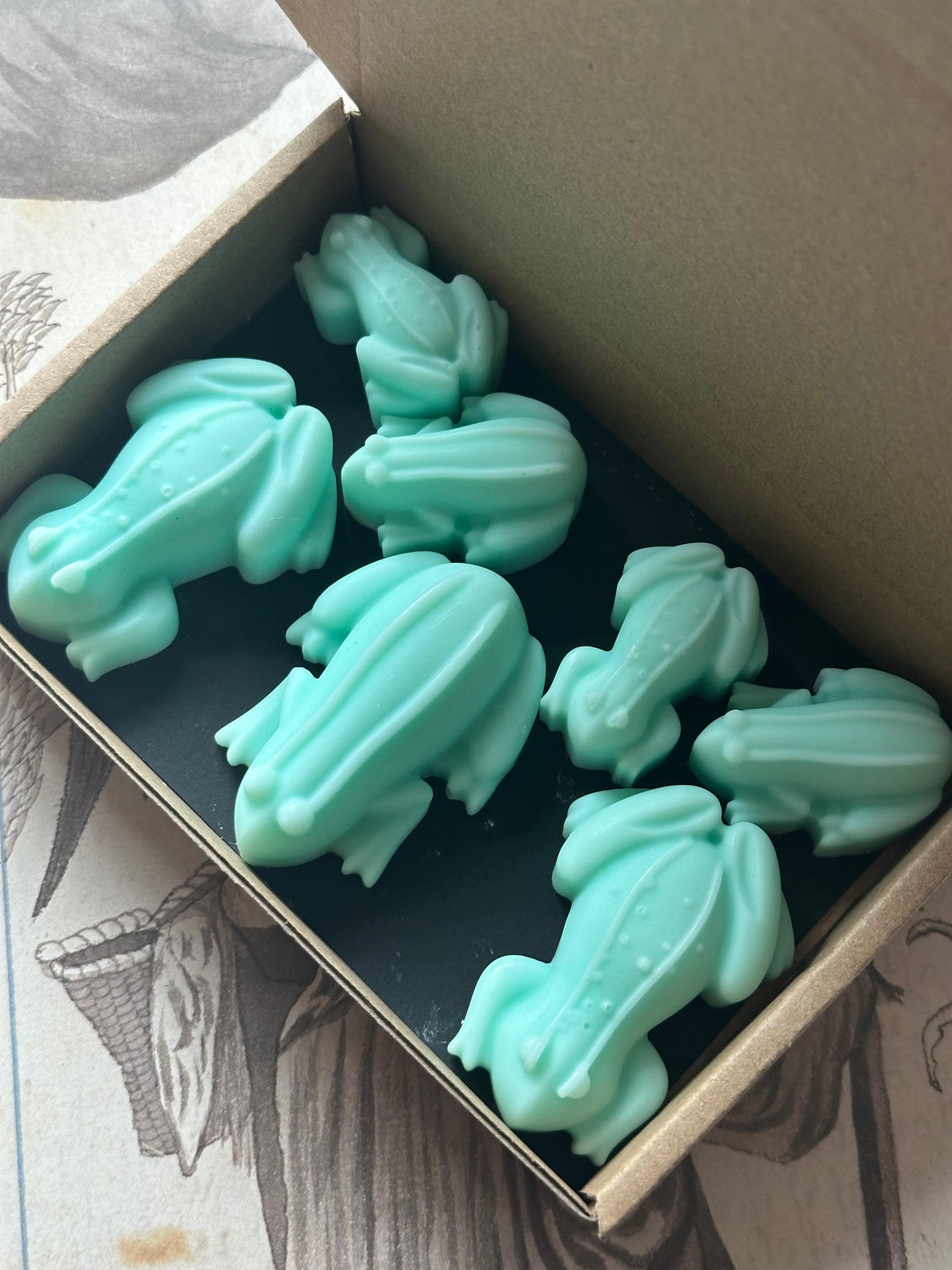 Enchanted Toads - Eucalyptus & Cove Scented Soy Wax Melts