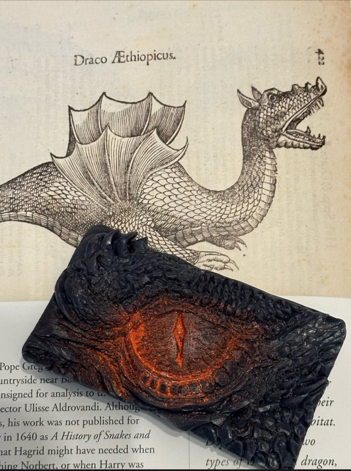 Dragon’s Eye - Spiced Orange Wax Melt Block