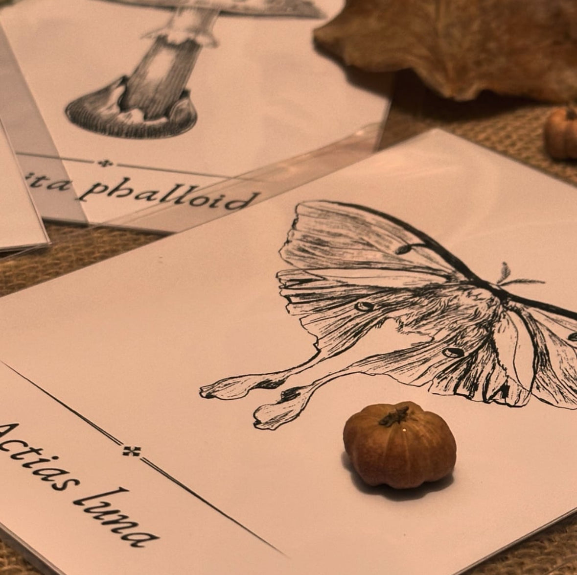 Apothecary Book Pages