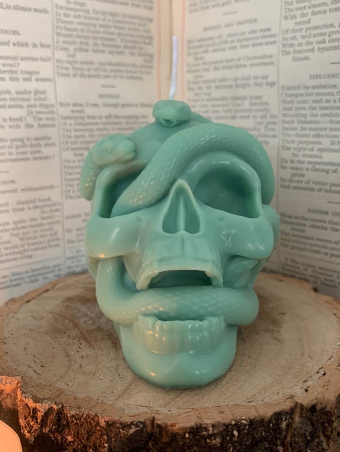The Dark Arts Candle - Skull & Snake Candle