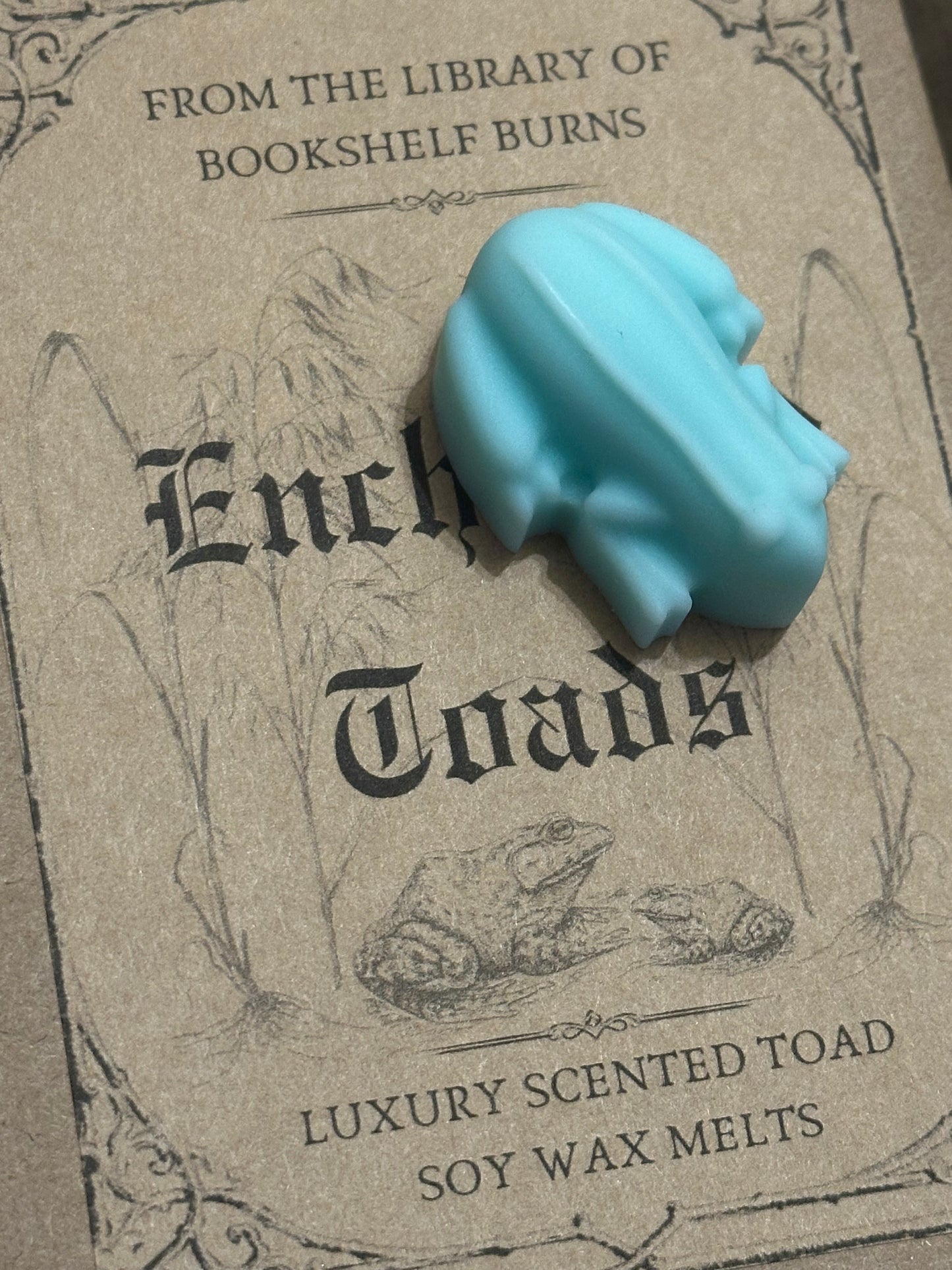 Enchanted Toads - Eucalyptus & Cove Scented Soy Wax Melts