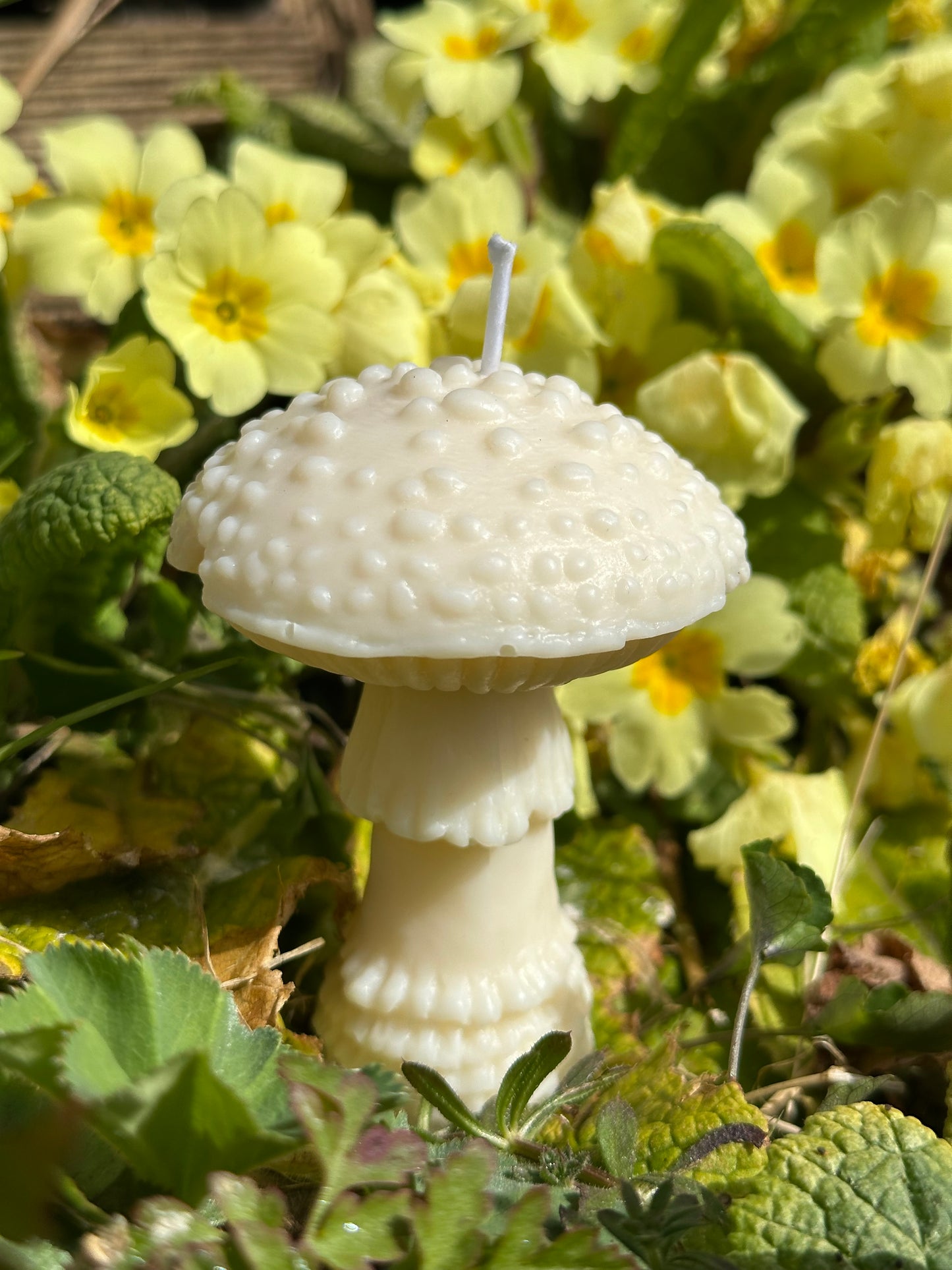The Fly Agaric - Toadstool Shaped Soy Wax Pillar Candle