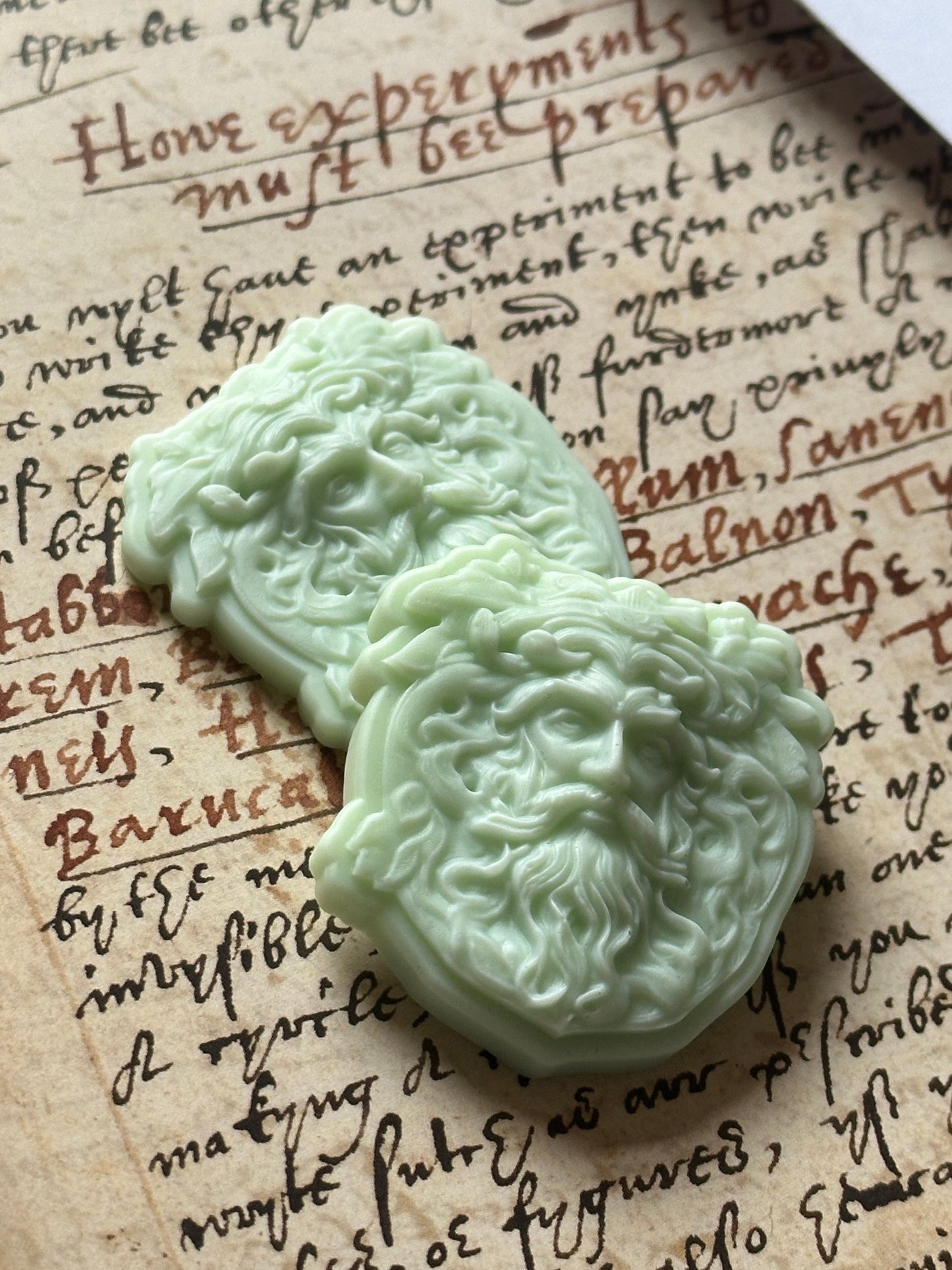 Faces of the Old Forest - Handmade Woodland Scented Soy Wax Melts