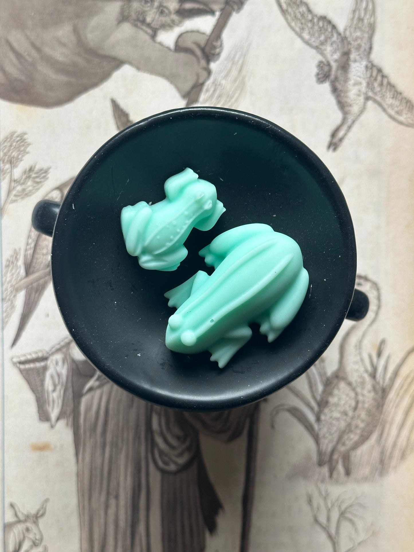 Enchanted Toads - Eucalyptus & Cove Scented Soy Wax Melts