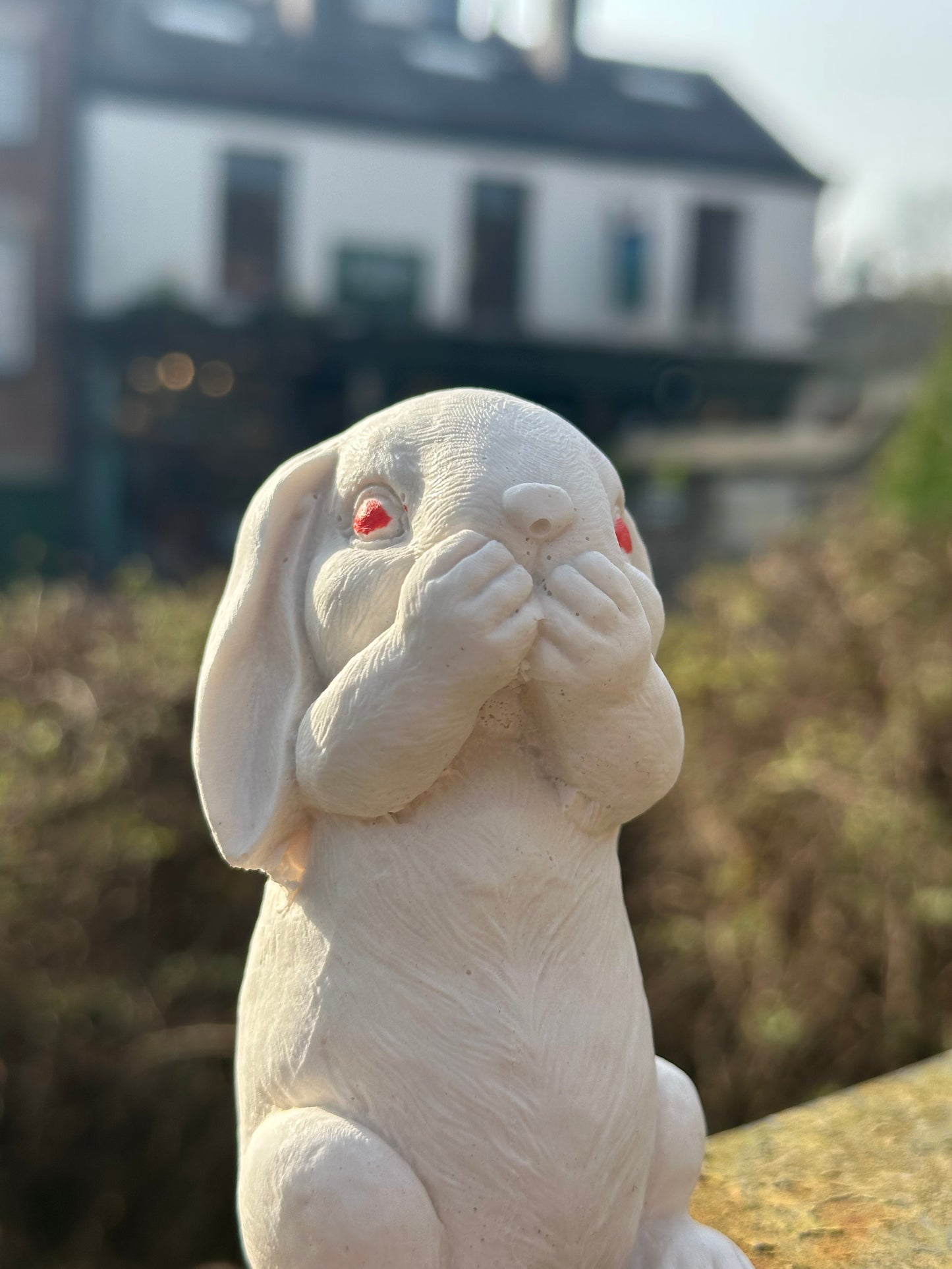 The Baum Rabbit