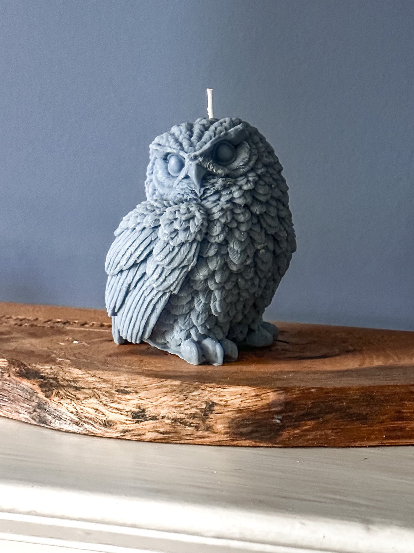 Library Guardian - Owl Shaped Soy Wax Pillar Candle