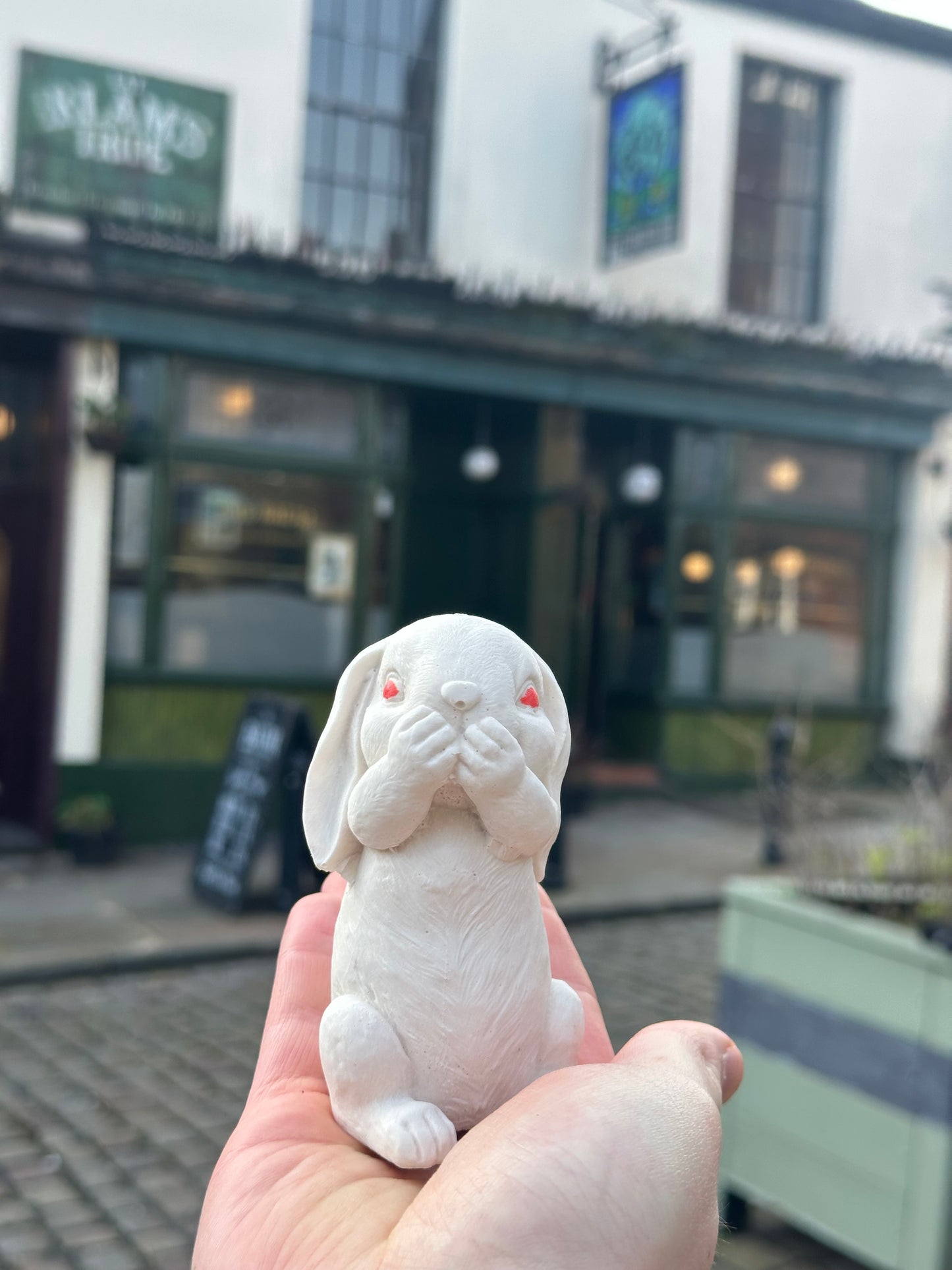 The Baum Rabbit