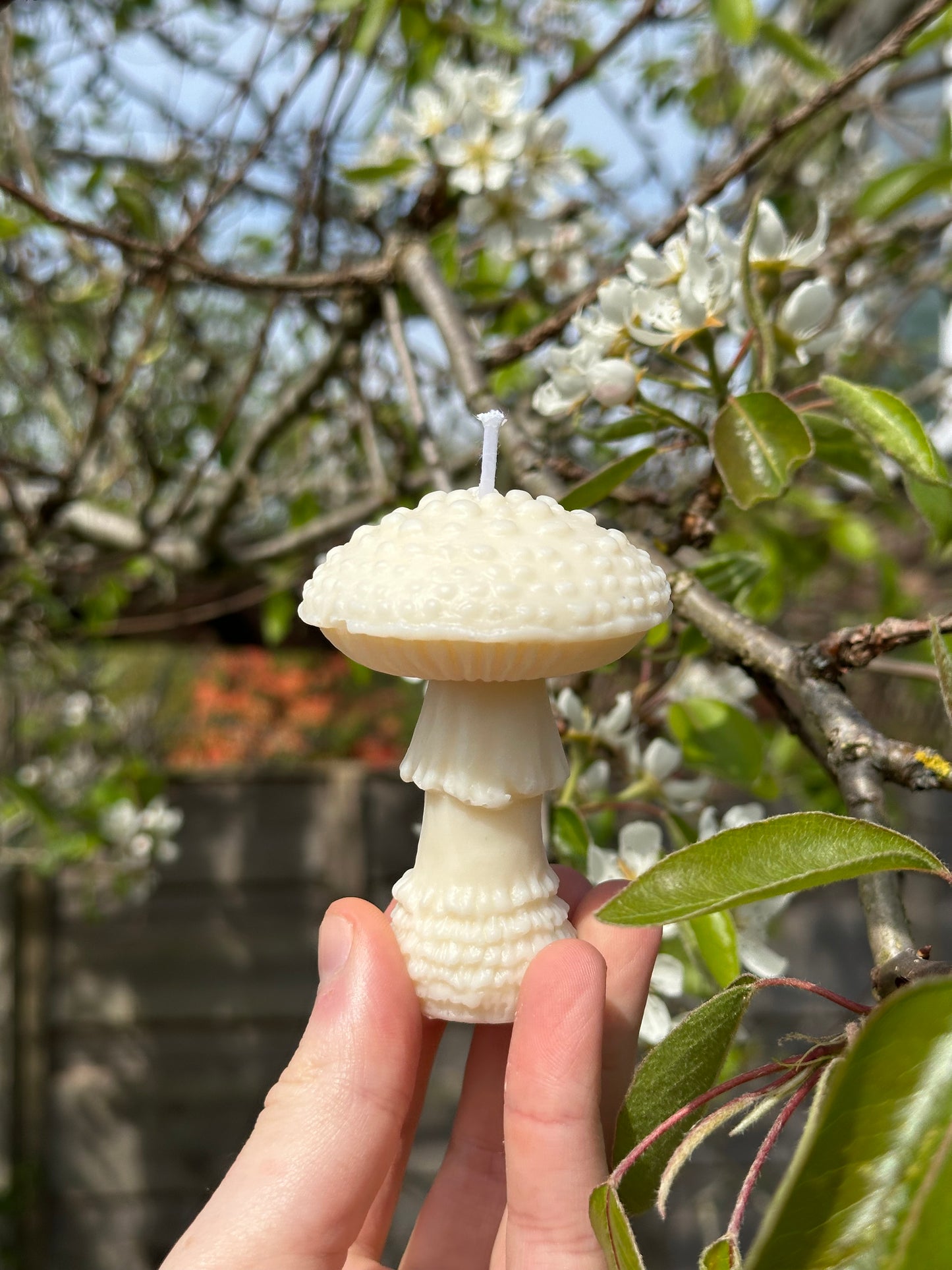 The Fly Agaric - Toadstool Shaped Soy Wax Pillar Candle