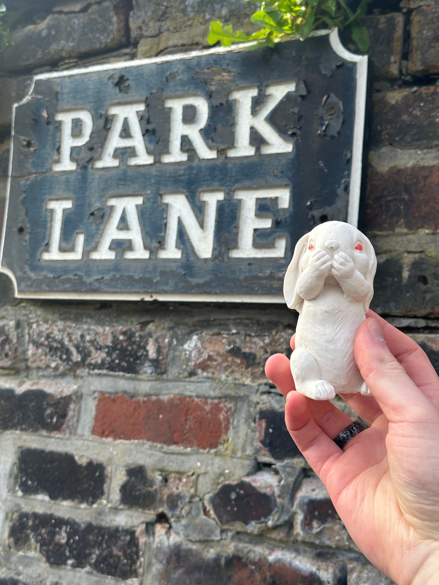 The Baum Rabbit