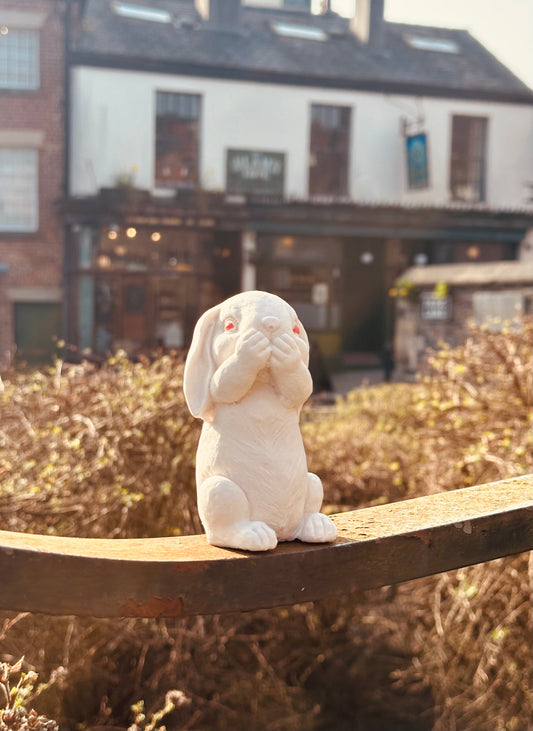 The Baum Rabbit