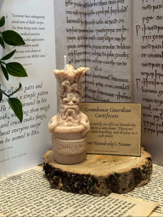 Greenhouse Guardian Soy Wax Candle