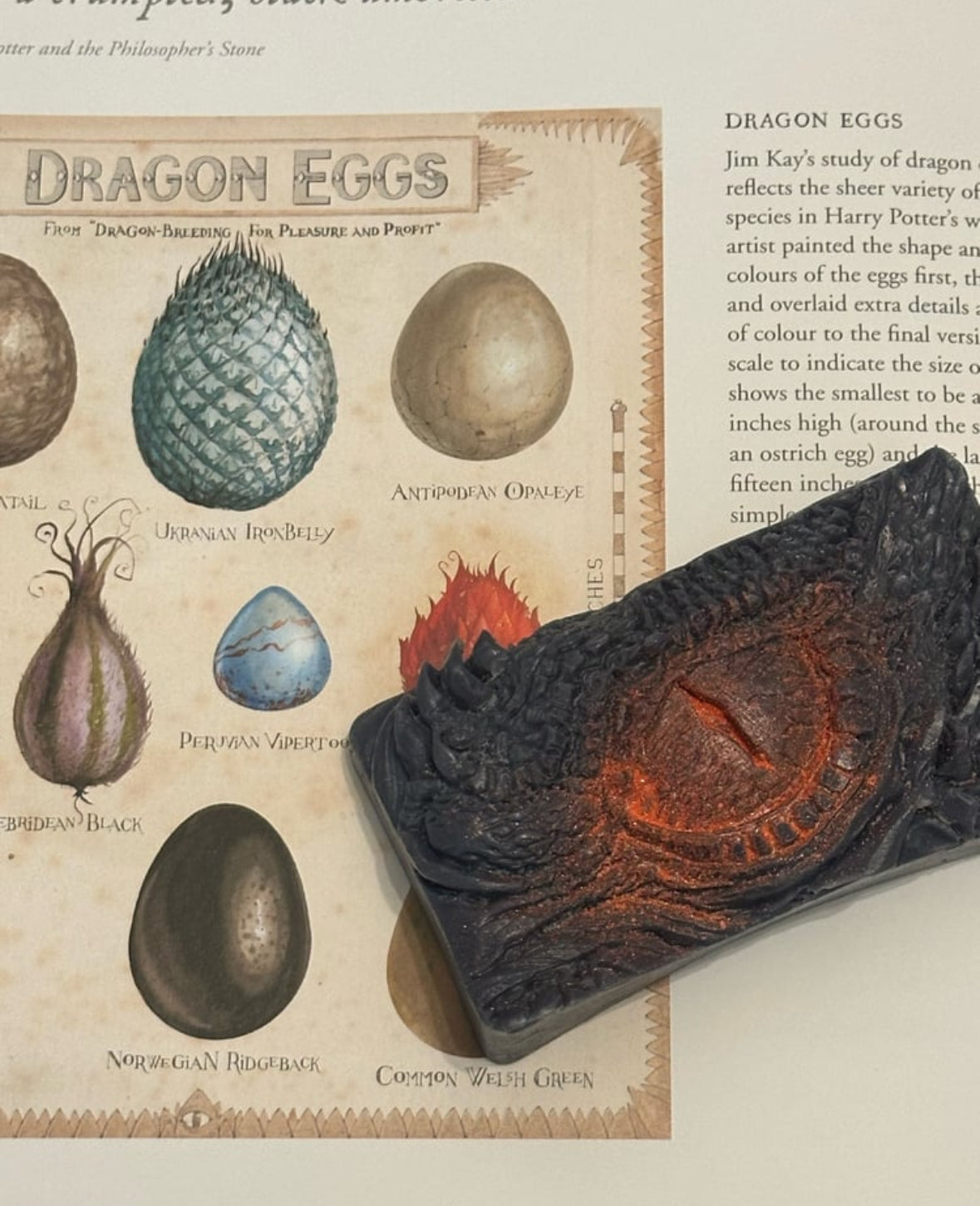 Dragon’s Eye - Spiced Orange Wax Melt Block