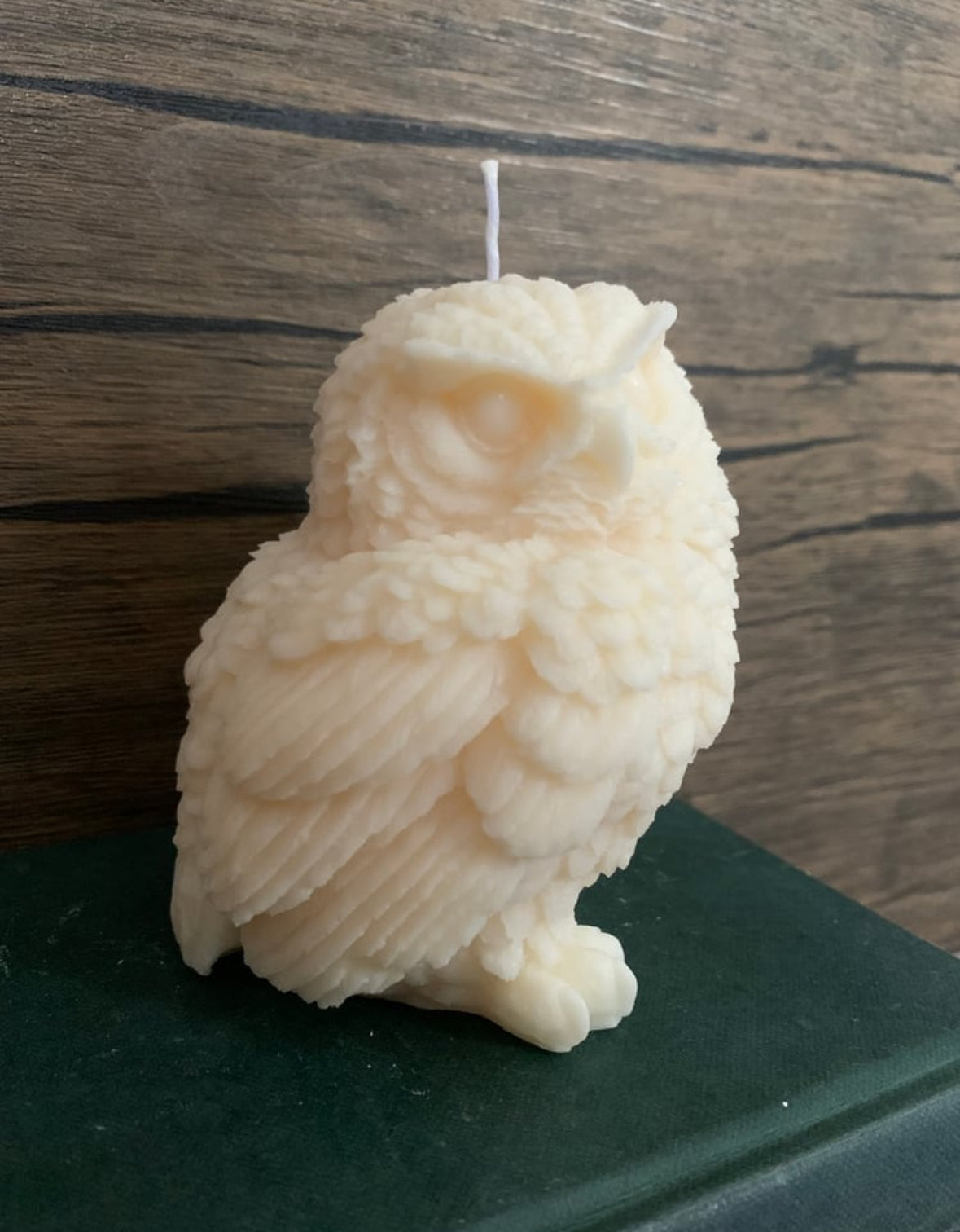 Library Guardian - Owl Shaped Soy Wax Pillar Candle