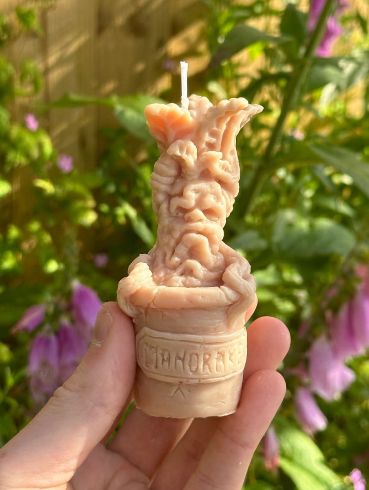 Greenhouse Guardian Soy Wax Candle