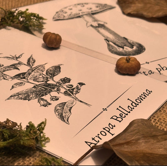 Apothecary Book Pages