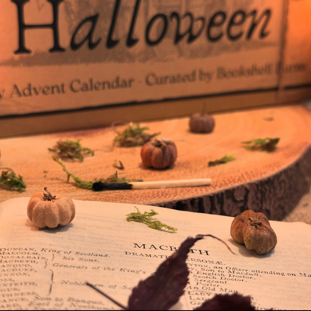 (Pre-order) THIRTEEN NIGHTS OF HALLOWEEN ADVENT CALENDAR
