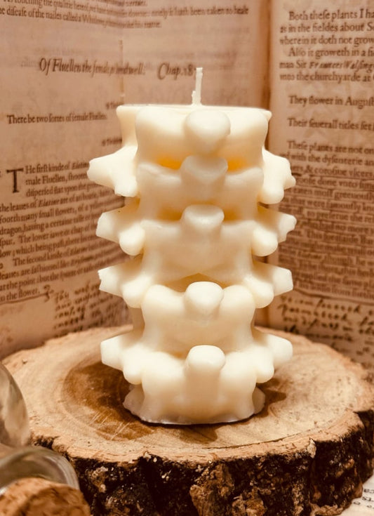 The Spine - Vertebrae Soy Wax Pillar Candle